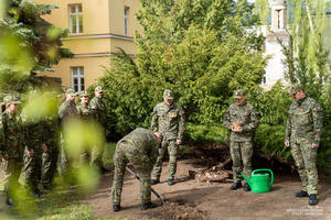 Funkcjonariusze Bieszczadzkiego Oddziału Straży Granicznej posadzili dęby i jodły, przekazane przez Nadleśnictwo Krasiczyn